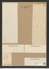 Chaetoceros lorenzianus Grun. (de-Toni-Nr.: Genus 149, Species 4127) Zeichnungen Sammlung Grunow Nr. 7681 (NHMW-BOT-W0376877)